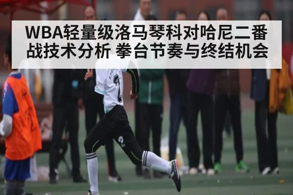 WBA轻量级洛马琴科对哈尼二番战技术分析 拳台节奏与终结机会（kaiyun）